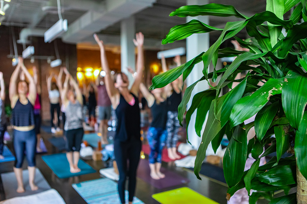 Reprendre le sport salle adaptée
